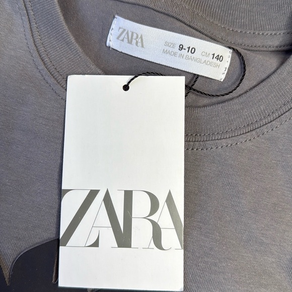 Zara Kids | Gray T-Shirt with Raised Lion Face in Black, Kids Boy Size 9… - Picture 3 of 6